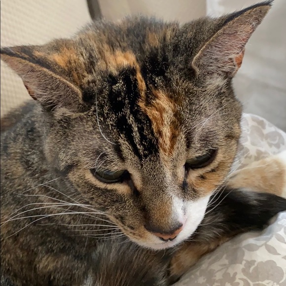 Leah Prinz - Poshmark Profile Picture of Leah Prinz (@leahprinz) on Poshmark