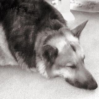 Profile Picture of David Neff (@David-Neff) on Facebook