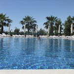 Brad Sneeder - Instagram Profile Picture of Brad Sneeder (@bradsneeder) on Instagram