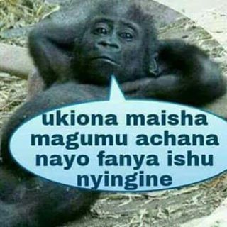 Profile Picture of Sami Fowler (@sami.fowler.1) on Facebook