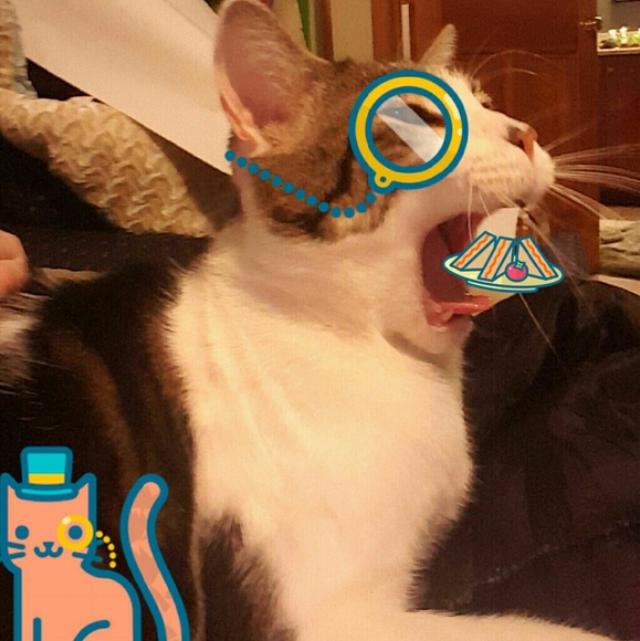 Profile Picture of Cassandra Cunningham (@pajamagoddess) on Poshmark