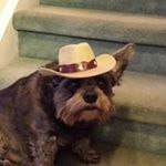 Profile Picture of Ray Hooper (@ray.hooper.16) on Instagram