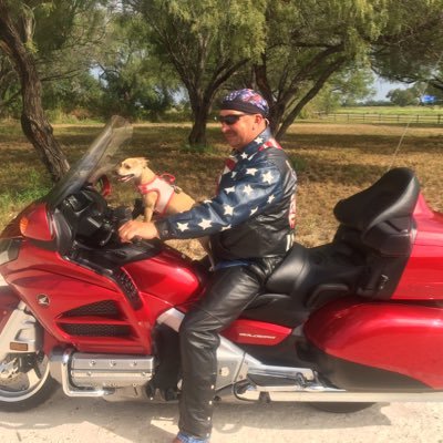 Profile Picture of Steve Milam (@justevemilam) on Twitter