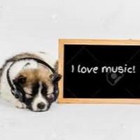 Profile Picture of Mariela Serrano (@mariela-serrano-1) on Quora