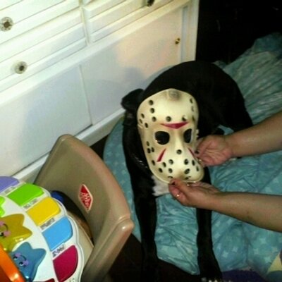 David Hinchman - Twitter Profile Picture of David Hinchman (@david_hinchman) on Twitter