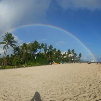 Profile Picture of Bryan Follendorf (@Follydodi) on Twitter