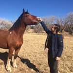 Profile Picture of Eric Trotman (@eric.trotman) on Instagram