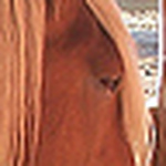 Profile Picture of luv.4.pics (@luv.4.pics) on Flickr