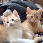 Lenny Barcikoski - Facebook Profile Picture of Lenny Barcikoski (@lenny.barcikoski.3) on Facebook