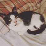 Profile Picture of Brian Bobbins (@brian_bobbins) on Instagram