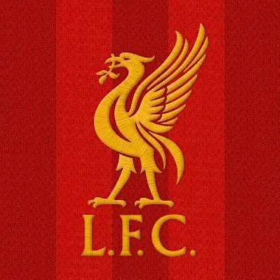 Profile Picture of Ben Jamieson (@BeeJNZ) on Twitter