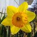 Profile Picture of Larry Schell (@algor_langeaux) on Pinterest