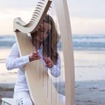 Profile Picture of Robin Heesakkers (@robin.harpiste) on Instagram