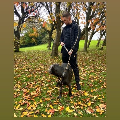 Profile Picture of Josh Varley (@joshleevarley) on Twitter