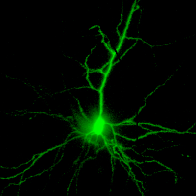 Profile Picture of Oliver Yu (@oli_yu) on Twitter