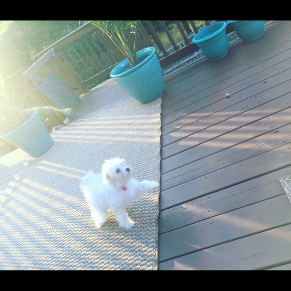 Profile Picture of Sophie Fueglein (@soph1355) on Poshmark