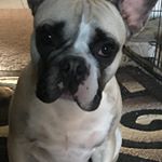 Profile Picture of Mike Kerby (@mkerby70) on Instagram