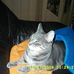 Profile Picture of Marion Weiler (@marion.weiler.9083) on Facebook