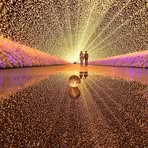 Profile Picture of Nicolae Dinu (@nicolae.dinu.988) on Facebook