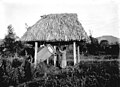 Profile Picture of Ngoma drumson Wikipedia