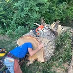 Jared Kennon - Facebook Profile Picture of Jared Kennon (@jared.kennon) on Facebook