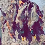 Profile Picture of Matthew Haberlen (@Matthew-Haberlen) on Facebook