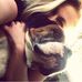 Profile Picture of Alex Prevo (@alex.prevo.37) on Facebook