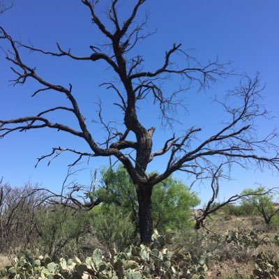 Profile Picture of Josh Gartman (@Solemn_Thoughts) on Twitter