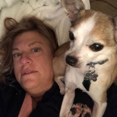 Profile Picture of Debbie Goldstein (@DebbieG02893904) on Twitter