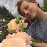 Profile Picture of Cameron Reilly (@cameronreilly2007) on Instagram