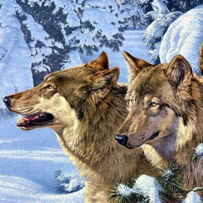 Profile Picture of Luis Lagos Nuñez (@llagos80) on Twitter