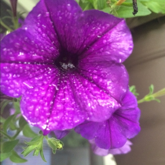 Profile Picture of Alexis Stutes (@alexissss_) on Poshmark