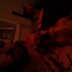 Profile Picture of Ryan N Sheila Casey (@sheilacasey) on Instagram