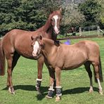 Profile Picture of Peter Coonan (@Peter-Coonan) on Facebook