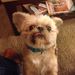 Profile Picture of Jason Shierling (@jasonshierling) on Pinterest