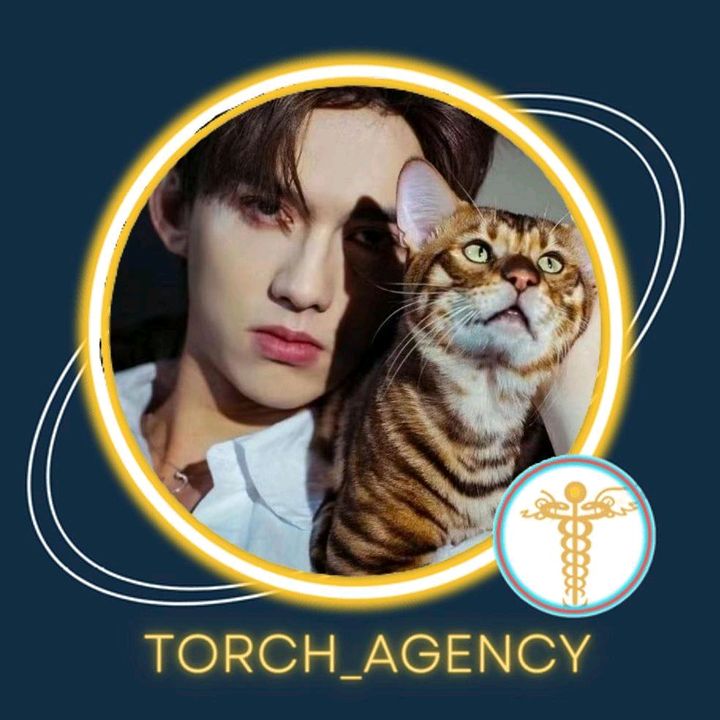 Profile Picture of Jason👑 (@jason_torch) on Tiktok