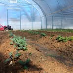 Andrew Foshee - Facebook Profile Picture of Andrew Foshee (@andrew.foshee.2025) on Facebook