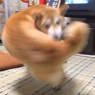 Profile Picture of Jessie Jiang (@JessieJ80802181) on Twitter