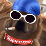 Profile Picture of Alexander Vazquez (@clappers_alex) on Instagram