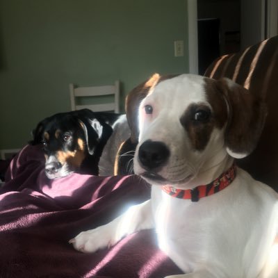 Profile Picture of Pete (@YotesUtility22) on Twitter