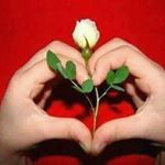 Profile Picture of Ali Ganoun (@ganounali) on Instagram