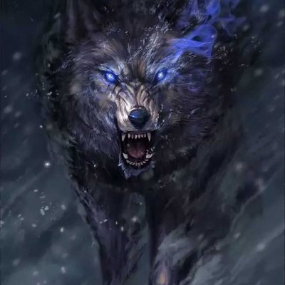 Profile Picture of linh tinh dinh (@linhtinhdinh1) on Twitter