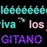 Profile Picture of francisco Javier Piñeiro@ (@francisco_javier_pineiro) on Instagram
