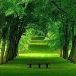 Profile Picture of Chris Goodspeed (@chris197837) on Instagram