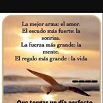 Profile Picture of Alejandro cuevas (@alejandrocuevas16) on Instagram