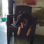 Profile Picture of Pali Singh (@pali.singh.399826) on Instagram