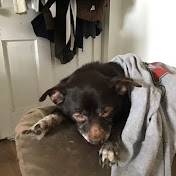 Profile Picture of Shannon Campbell (@stanrexymama) on Youtube