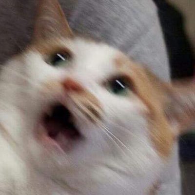 Profile Picture of Daniel  Núñez Cruz (@DanielNezCruz1) on Twitter