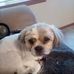 Profile Picture of Jerri Everett (@Jerri-Everett) on Facebook