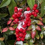 Profile Picture of Crystal Shanks Prater (@crystal.shanks.79) on Facebook